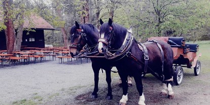 Ausflug mit Kindern - Ausflugsziel ist: ein Restaurant/Gasthaus - Bärnau - JOE'S LEIDENSCHAFT AUF DER PFERDERANCH  Pferdekutschen und Pferdeschlittenfahrten