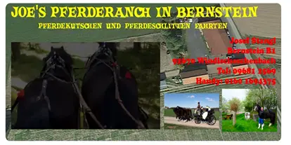 Ausflug mit Kindern - Witterung: Schönwetter - Ostbayern - JOE'S LEIDENSCHAFT AUF DER PFERDERANCH  Pferdekutschen und Pferdeschlittenfahrten