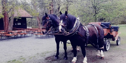 Ausflug mit Kindern - Kindergeburtstagsfeiern - Vohenstrauß - JOE'S LEIDENSCHAFT AUF DER PFERDERANCH  Pferdekutschen und Pferdeschlittenfahrten