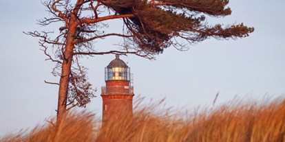 Ausflug mit Kindern - Ostsee - Den Darßer Weststrand schmückt ein Leuchtturm, der Teil des NATUREUMs ist - NATUREUM Darßer Ort