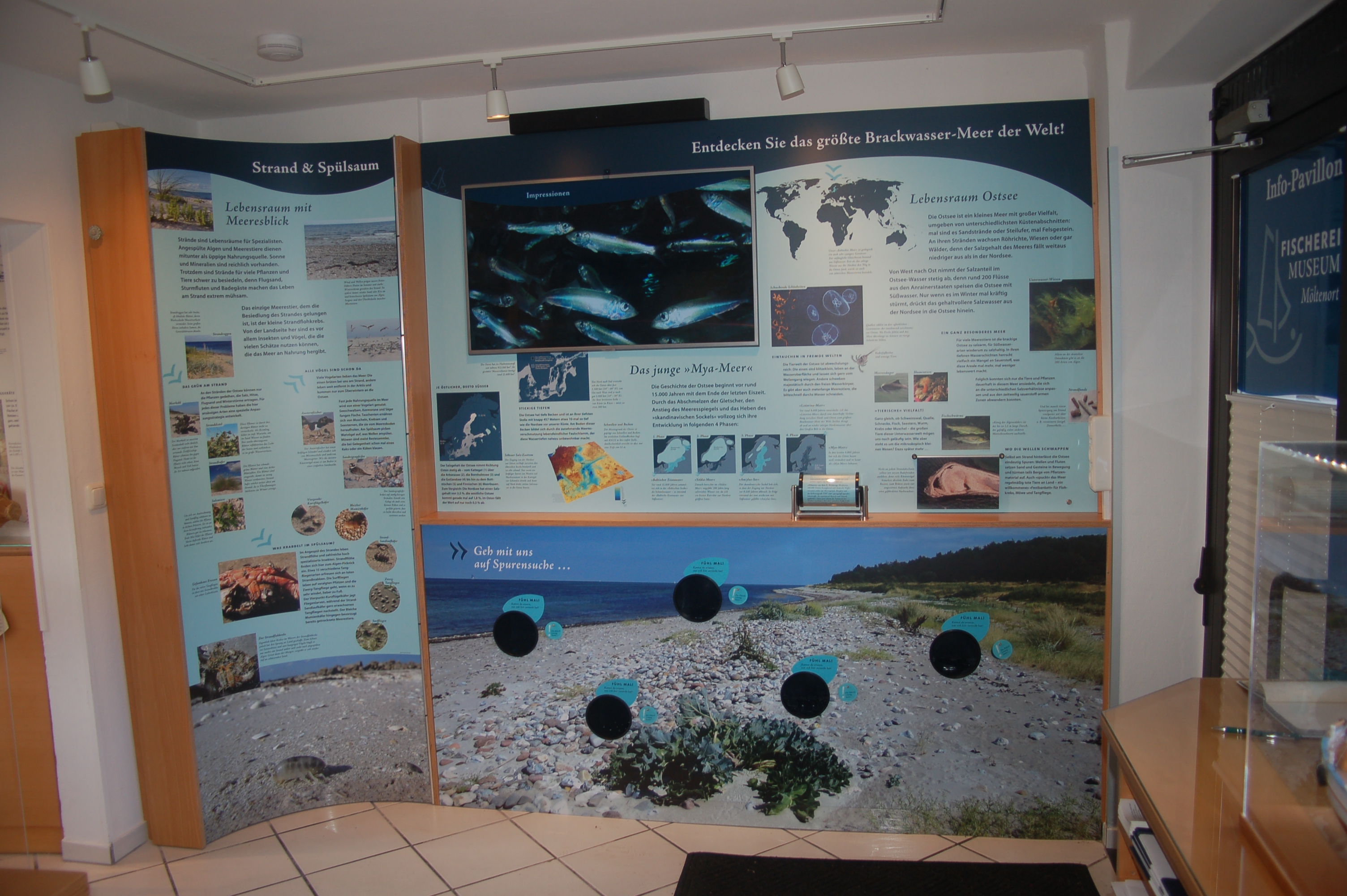 Destination d'excursion - Infopavillon Fischereimuseum Heikendorf