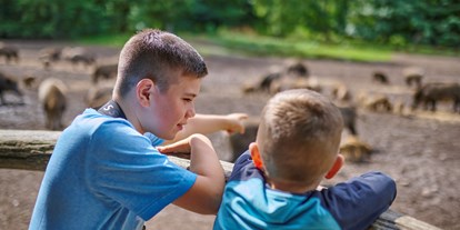 Ausflug mit Kindern - Schatten: halb schattig - Großenaspe - Michel und Lasse bei der Wildschweinfütterung - ErlebnisWald Trappenkamp