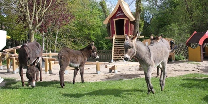Ausflug mit Kindern - Themenschwerpunkt: Tiere - Deutschland - Esel- & Landspielhof Nessendorf