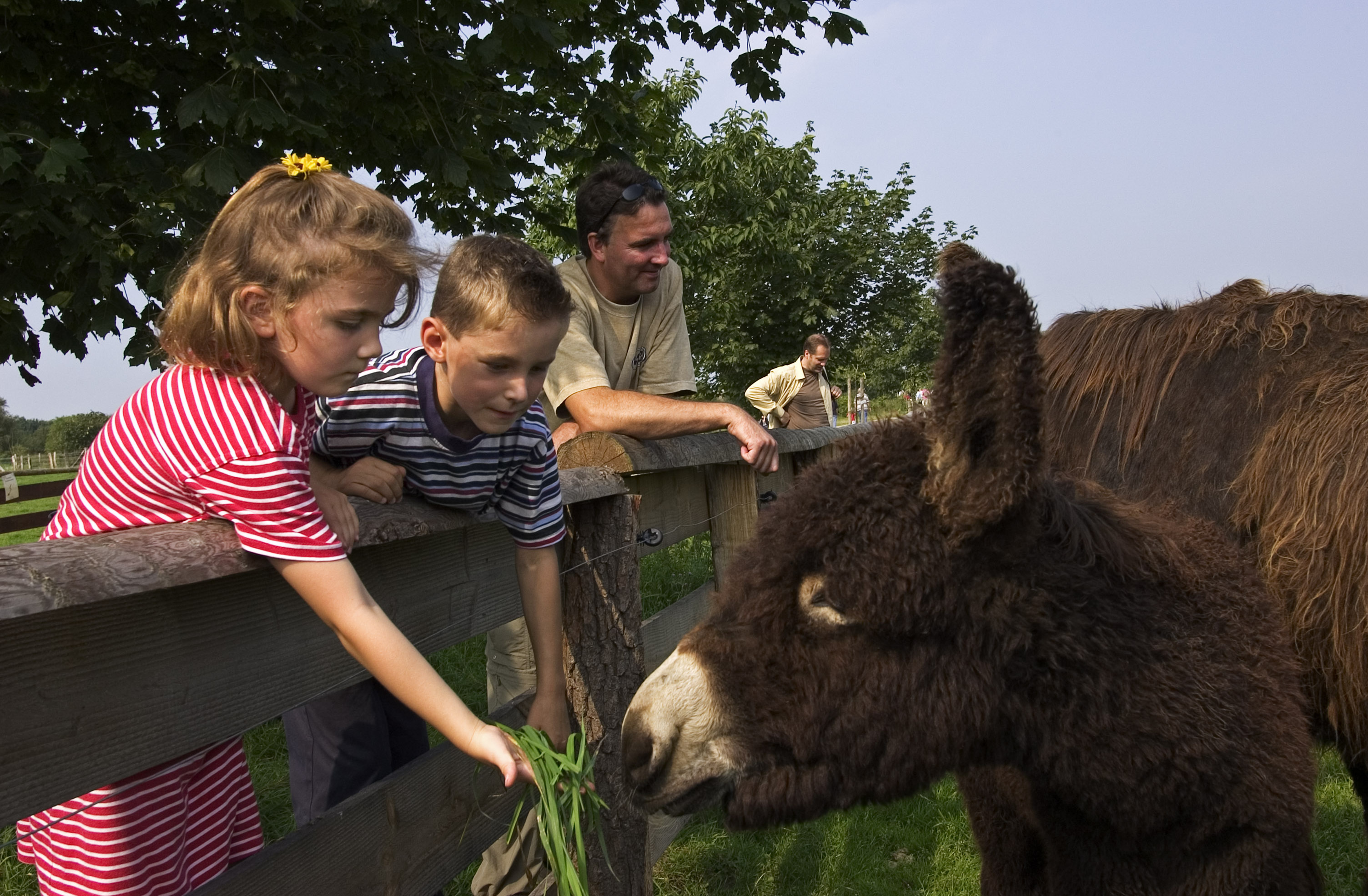 Ausflugsziel - Tierpark Arche Warder