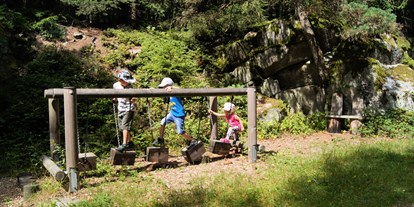 Ausflug mit Kindern - Ausflugsziel ist: eine Wanderung - Wenigfirling - Fitnessweg Predigtberg