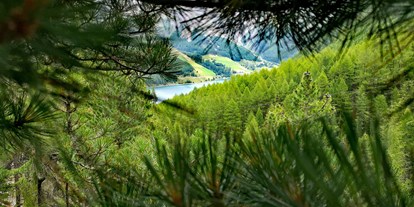 Ausflug mit Kindern - Themenschwerpunkt: Abenteuer - Naturns, Südtirol - Aussicht auf den See - Hochseilgarten Ötzi Rope-Park