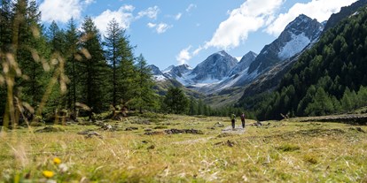 Ausflug mit Kindern - Weg: Erlebnisweg - Naturns, Südtirol - Almerlebnisweg Pfossental