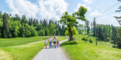 Ausflug mit Kindern - Umgebungsschwerpunkt: Berg - Alpnachstad - Zugerberg Bahn