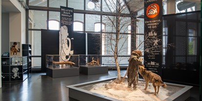 Ausflug mit Kindern - Preisniveau: günstig - Beckenried - Museum für Urgeschichte(n) Zug, Altsteinzeit und Mammutfunde. - Museum für Urgeschichte(n) Zug