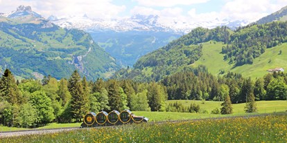 Ausflug mit Kindern - Unterägeri - Standseilbahn Schwyz-Stoos im Dorf Stoos - Stoos – die steilste Standseilbahn der Welt