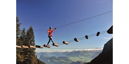 Ausflug mit Kindern - Themenschwerpunkt: Abenteuer - Pilatus Seilpark mit Aussicht - Pilatus Seilpark