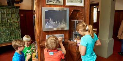 Ausflug mit Kindern - Themenschwerpunkt: Dinosaurier - Luzern-Stadt (Luzern, Kriens) - Museum - Gletschergarten Luzern