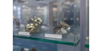 Trip with children - Ausflugsziel ist: ein Museum - Zug-Stadt - In der Mineraliensammlung sind über 1'200 Exponate zu sehen. - Museum DIORAMA 