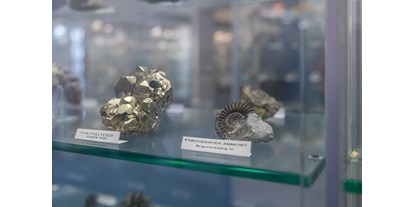Ausflug mit Kindern - Kinderwagen: vollständig geeignet - Glarus-Stadt - In der Mineraliensammlung sind über 1'200 Exponate zu sehen. - Museum DIORAMA 