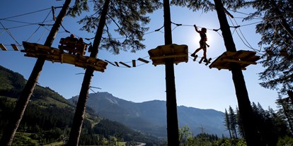Ausflug mit Kindern - Dauer: mehrtägig - Turnau - Kletterpark - Alpfox am Präbichl