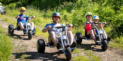 Ausflug mit Kindern - Dauer: mehrtägig - Turnau - Mountaincarts - Alpfox am Präbichl