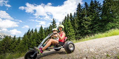 Ausflug mit Kindern - Dauer: halbtags - Steiermark - Mountaincartrails - Alpfox am Präbichl