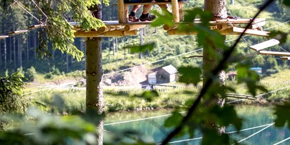 Ausflug mit Kindern - Themenschwerpunkt: Wandern - PLZ 8770 (Österreich) - Alpfox am Präbichl