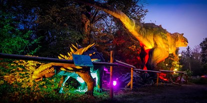 Ausflug mit Kindern - Nach der Dämmerung beleuchtet - Dino Tattendorf