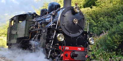 Ausflug mit Kindern - Wickeltisch - Schweiz - Lok 704 ist die grösste und stärkste Schmalspur Zahnrad-Dampflok in Europa. - Dampfbahn Furka Bergstrecke