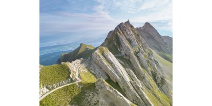 Ausflug mit Kindern - erreichbar mit: Bahn - Schweiz - Pilatus - Weg zum Tomlishorn - Pilatus - die steilste Zahnradbahn der Welt