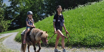 Ausflug mit Kindern - Bristen - Direkt neben dem Hexenspielplatz befindet sich unser Ponystall. In den Sommer-& Hetbstferien kann man auch Ponyreiten.  - Abenteuerspielplatz Wirzweli
