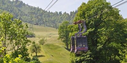 Ausflug mit Kindern - PLZ 6430 (Schweiz) - Unsere Doppelgonde fährt direkt auf den Hexenberg Bergstation 2 Minuten vom Spielplatz enfernt. - Abenteuerspielplatz Wirzweli