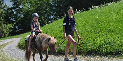 Trip with children - Alpthal - Abenteuerspielplatz Wirzweli