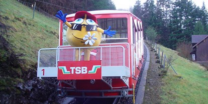 Ausflug mit Kindern - Ausflugsziel ist: eine Wanderung - PLZ 6053 (Schweiz) - Die Standseilbahn Treib-Seelisberg - Goldi-Familiensafari