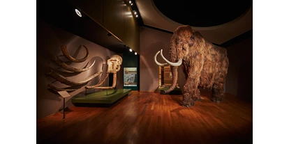 Ausflug mit Kindern - Witterung: Bewölkt - Schallbach (Landkreis Lörrach) - Dauerausstellung Mammut & Säbelzahntiger - Naturhistorisches Museum Basel