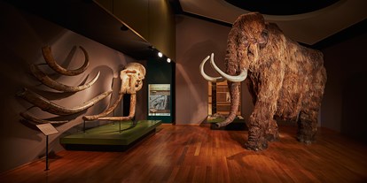 Ausflug mit Kindern - Themenschwerpunkt: Entdecken - PLZ 4142 (Schweiz) - Naturhistorisches Museum Basel
