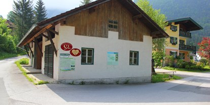 Ausflug mit Kindern - Umgebungsschwerpunkt: Berg - Waldhof - Mühlenweg Scheffau (Herzerlweg)