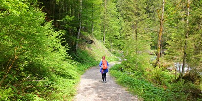 Ausflug mit Kindern - geprüfte Top Tour - Salzburg - Mühlenweg Scheffau (Herzerlweg)