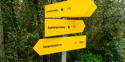 Ausflug mit Kindern - Alter der Kinder: 6 bis 10 Jahre - Salzburger Seenland - Weitwörther Au