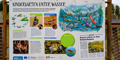 Ausflug mit Kindern - Salzburger Seenland - Weitwörther Au