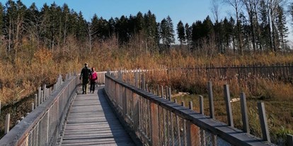 Ausflug mit Kindern - Alter der Kinder: über 10 Jahre - Salzburger Seenland - Weitwörther Au