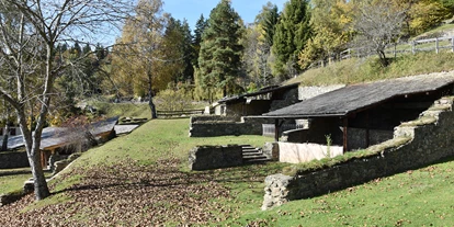 Ausflug mit Kindern - Ausflugsziel ist: ein Weg - Hörzenbrunn - Archäologischer Park Magdalensberg