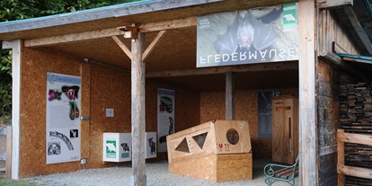 Ausflug mit Kindern - Ausflugsziel ist: ein Museum - Saag (Techelsberg am Wörther See) - Archäologischer Park Magdalensberg