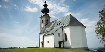 Ausflug mit Kindern - Ausflugsziel ist: eine Wanderung - Neukirchen an der Vöckla - Sommerholz Rundweg