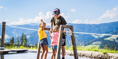 Ausflug mit Kindern - Alter der Kinder: über 10 Jahre - Ramsau am Dachstein - Wanderberg Grießenkar