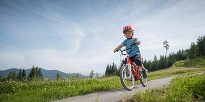 Ausflug mit Kindern - Alter der Kinder: 4 bis 6 Jahre - Wagrain - Wanderberg Grießenkar