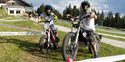 Ausflug mit Kindern - Umgebungsschwerpunkt: Berg - PLZ 4831 (Österreich) - Trialstars