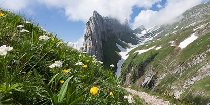 Ausflug mit Kindern - PLZ 8898 (Schweiz) - Hoher Kasten - Grenzenlos 360