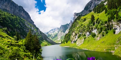 Ausflug mit Kindern - Ausflugsziel ist: ein Naturerlebnis - Schweiz - Hoher Kasten - Grenzenlos 360