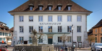 Ausflug mit Kindern - Witterung: Kälte - Solothurn - Mitten in der barocken Altstadt liegt das Naturmuseum. - Naturmuseum Solothurn