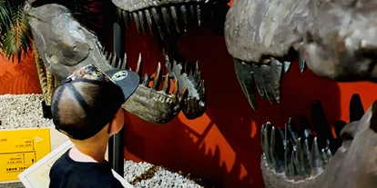 Trip with children - Wickeltisch - Switzerland - Auge in Auge mit dem T-Rex  - Sauriermuseum Bellach