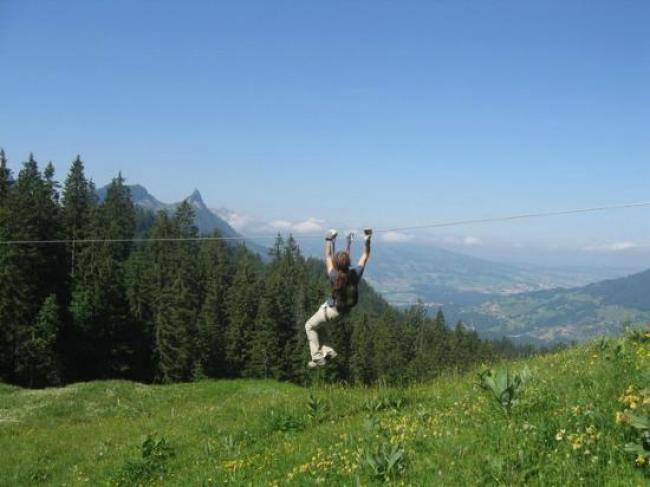 Destination d'excursion - Das Tal der Seilrutschen, ein einzigartiges Vergnügen in der Schweiz - Charmey Aventures