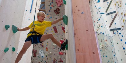 Ausflug mit Kindern - Ausflugsziel ist: ein Kletterpark - Fisibach - Aranea+ Klettern und Badminton