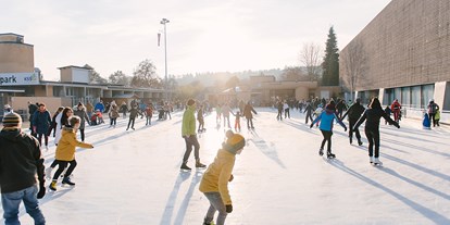 Ausflug mit Kindern - Ausflugsziel ist: ein Spielplatz - Zürich-Stadt - Ausseneisfeld - KSS Sport- und Freizeitpark Schaffhausen