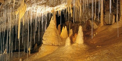 Ausflug mit Kindern - Witterung: Regenwetter - Schweiz - Grottes de Vallorbe